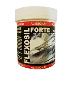 Flexosil Forte Gel 200 Ml Nh