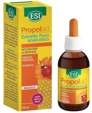 Própolis Extrato Puro Sem Álcool 50Ml